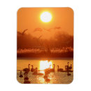 Suche nach see magnete Sonnenaufgang