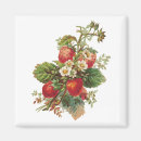 Suche nach erdbeermagnet Obst