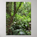 Suche nach rebs poster Tropisch