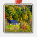 Suche nach usa ornamente Fall