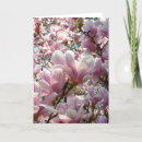 Suche nach magnolie karten Blume