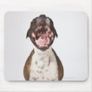Suche nach boxerhunde mousepads Studioschuß