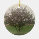 Suche nach apfelbaum ornamente Blume