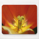 Suche nach center mousepads Fotografie