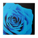 Suche nach blaue rose fliesen Jede person