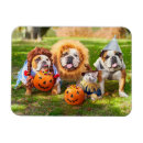 Suche nach halloween katze magnete Avanti press