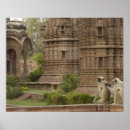 Suche nach schwarzer affe poster Tier