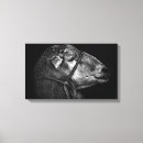 Suche nach schwarze schafe kunst Vieh