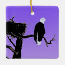 Suche nach kahler adler ornamente Alaska