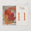 Suche nach getrocknete blume postkarten Blumenreich