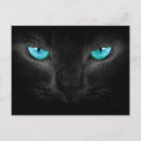 Suche nach katzengesicht postkarten Schwarz