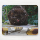 Suche nach wütende katze mousepads Schlechte laune