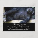 Suche nach neues denken postkarten Sie