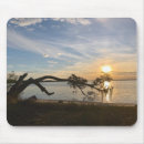 Suche nach bay mousepads Wasser