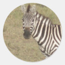 Suche nach zebra aufkleber Afrika
