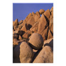 Suche nach mojave poster Landschaft