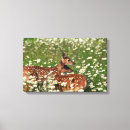 Suche nach unschuld kunst Blume