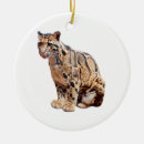 Suche nach realismus ornamente Tier