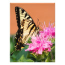 Suche nach bunter tiger poster Natur