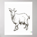 Suche nach schäfer poster Vintag