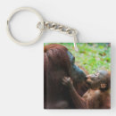 Suche nach orang utan baby schlüsselanhänger Regenwald