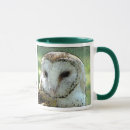Suche nach schleiereulen tassen Vögel