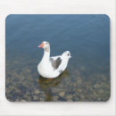 Suche nach weiße enten mousepads Tier