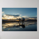 Suche nach robotik poster Wissenschaft