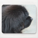 Suche nach neufundländer mousepads Tier