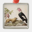 Suche nach humboldt ornamente Friedrich