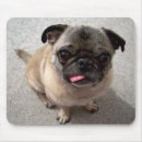 Suche nach niedlicher mops mousepads Hunde