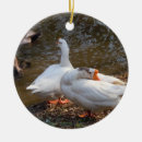 Suche nach teiche ornamente Weiß