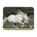 Suche nach laufen magnete Weiß