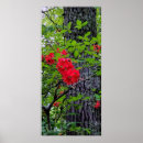 Suche nach rote blumen poster Natur