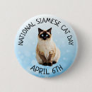 Suche nach katze mit blauen augen buttons Niedlich