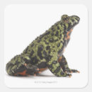 Suche nach toad aufkleber Tier