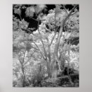 Suche nach wanderwege poster Schwarz