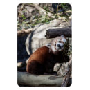 Suche nach der bambus magnete Tiere