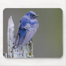 Suche nach gary mousepads Natur