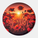 Suche nach rote mohnblume buttons Jede person