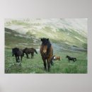 Suche nach gruppe poster Vintag