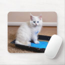 Suche nach weißes kätzchen mousepads Für alle