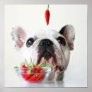 Suche nach babytiere poster Hund