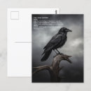 Suche nach crow postkarten Rabe