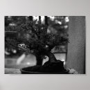 Suche nach bonsai poster China