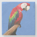 Suche nach papageien untersetzer Macaw