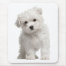Suche nach die ich weiß mousepads Hund