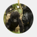 Suche nach gorilla ornamente Baby