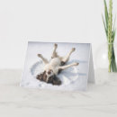 Suche nach schneengel karten Hund