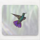 Suche nach kolibri mousepads Wild lebende tiere